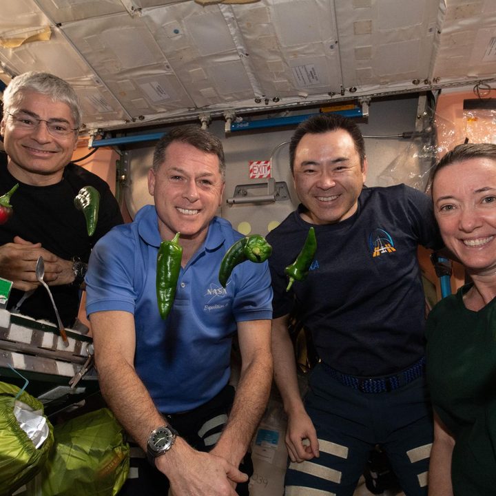 Expedition 66 astronauts sample chile peppers grown on the International Space Station.