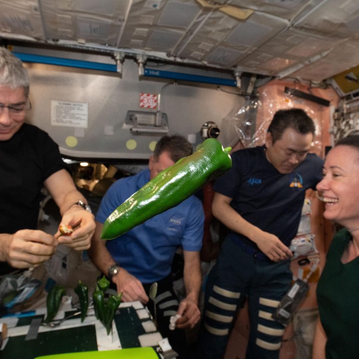 Expedition 66 astronauts sample chile peppers grown on the International Space Station.