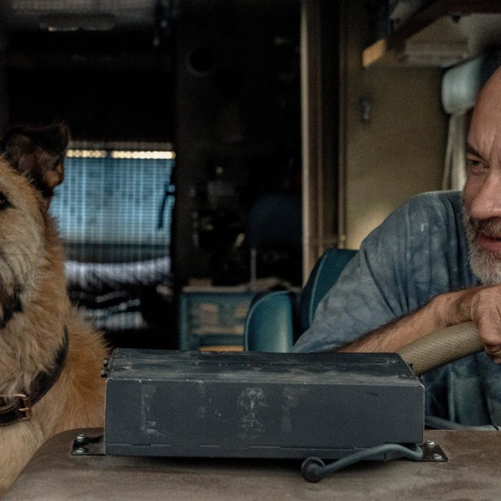 A dog and Tom Hanks in a scene from Finch.