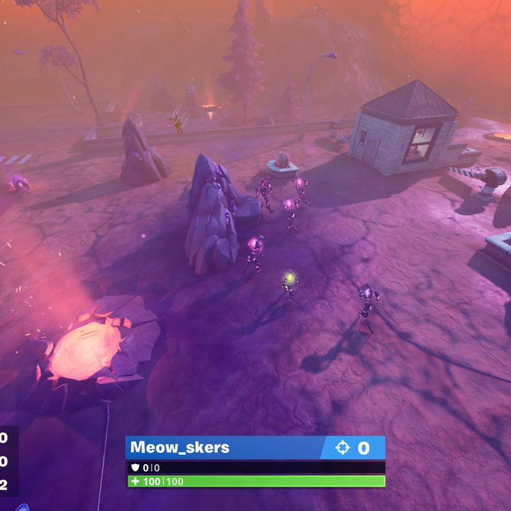 The Sideways in Fortnite.