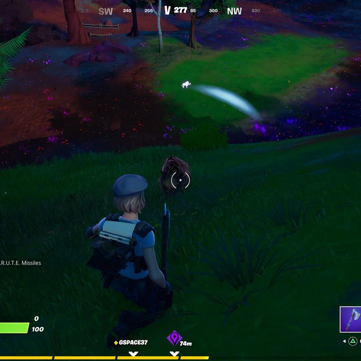Chasing a boar in Fortnite.