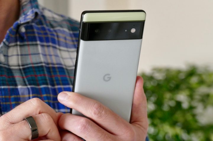 Back of the Pixel 6.