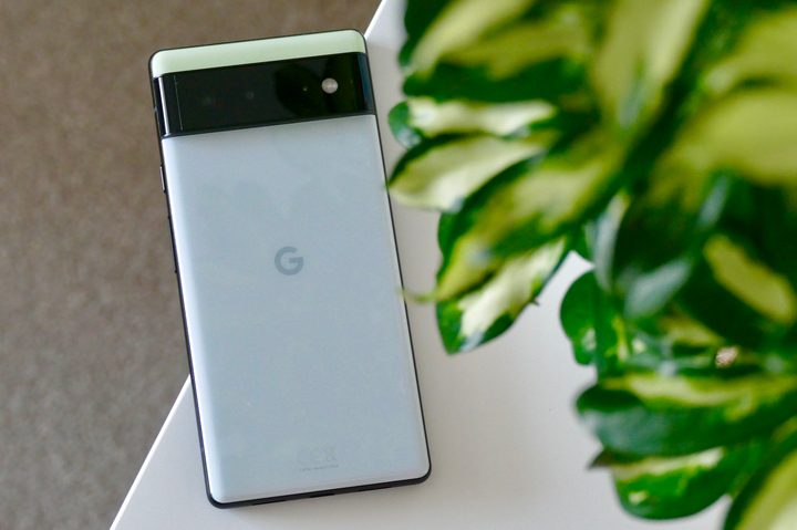 Back of the Pixel 6.