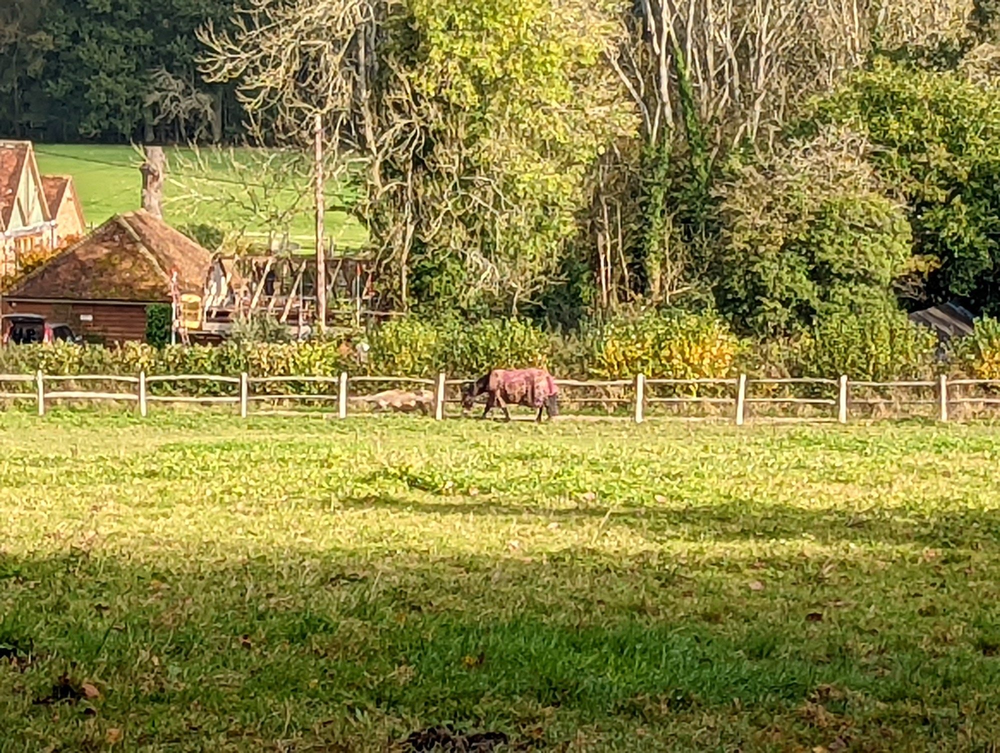 Pixel 6 photo at 7x zoom.