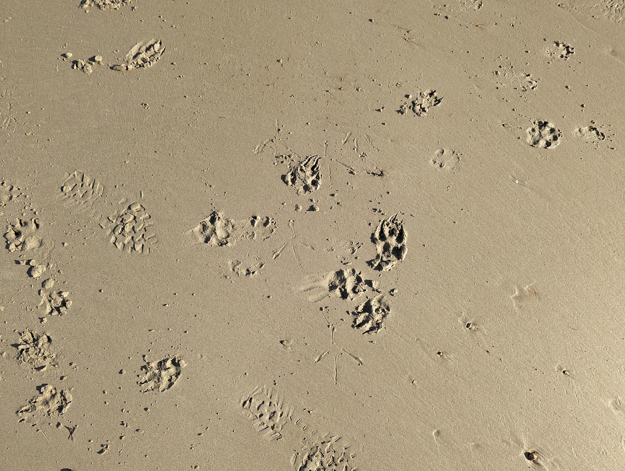 Pixel 6 photo of sand.