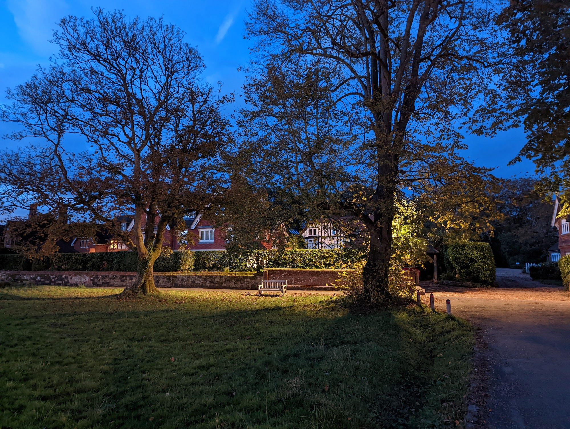 Pixel 6 photo taken at night.