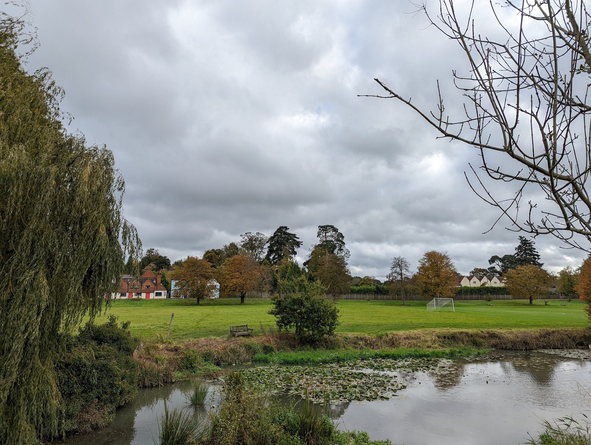 Pixel 6 photo of a park.
