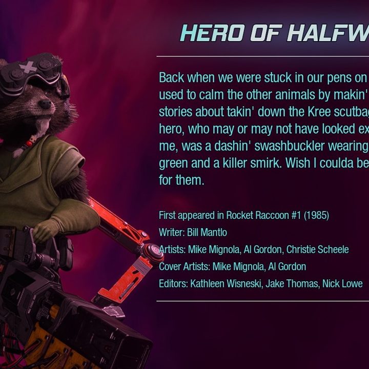 Rocket's Hero of Halfworld outfit from Guardians of the Galaxy.