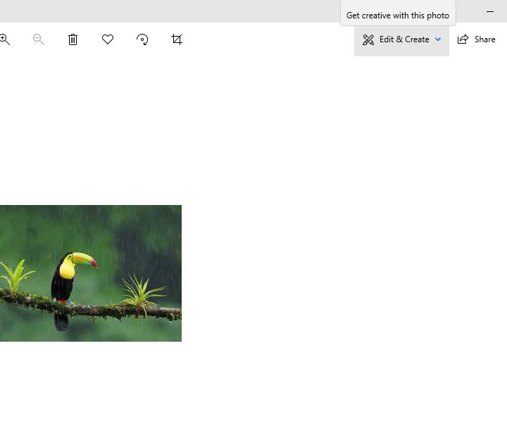 Screenshot showing the option that says ‘Edit & Create' in the top right corner.
