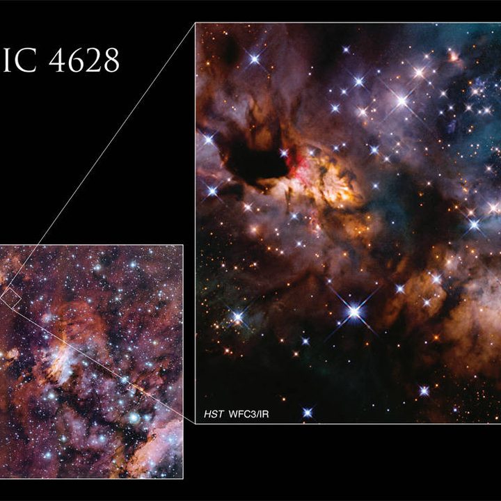 Star map showing location of the Prawn Nebula.
