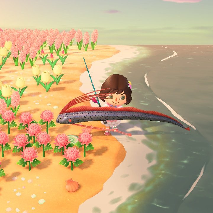 Catching fish in Animal Crossing: New Horizons.