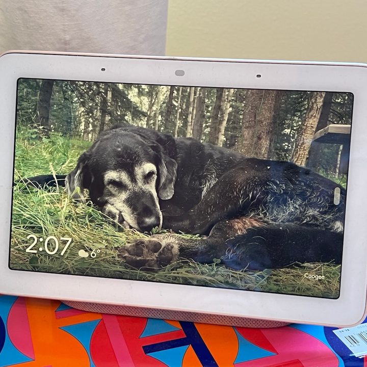 Google assistant, displaying own photos.