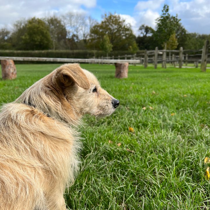 iPhone 13 Pro main camera.