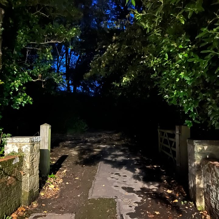 iPhone 13 Pro night mode.