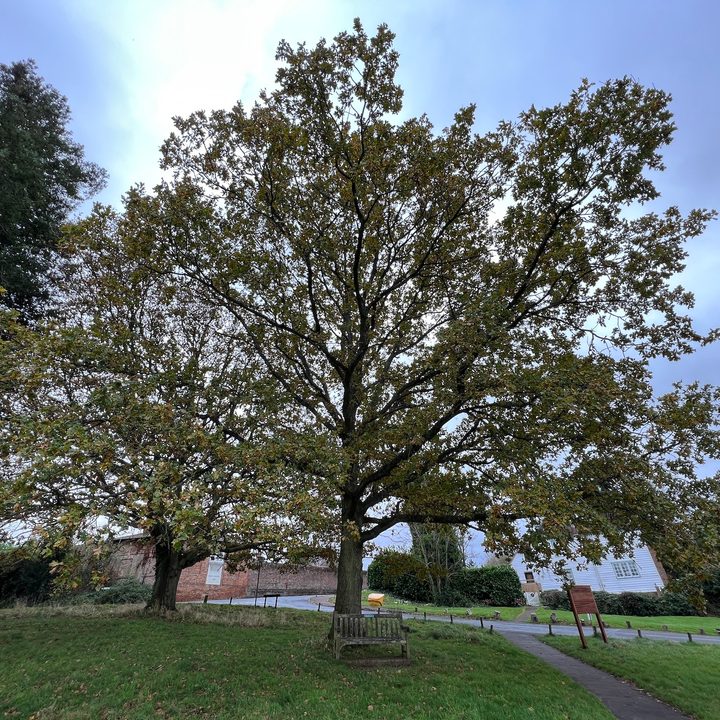 iPhone 13 Pro wide-angle photo.