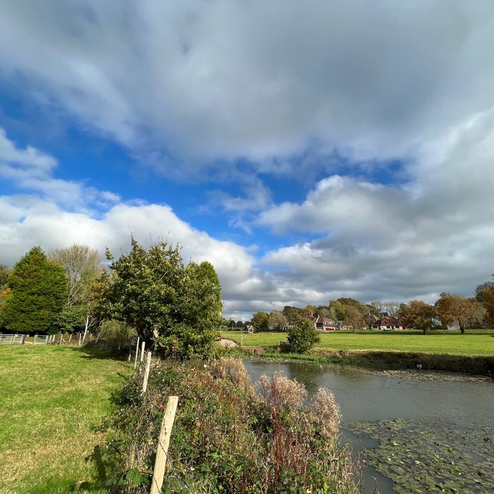 iPhone 13 Pro wide-angle camera.