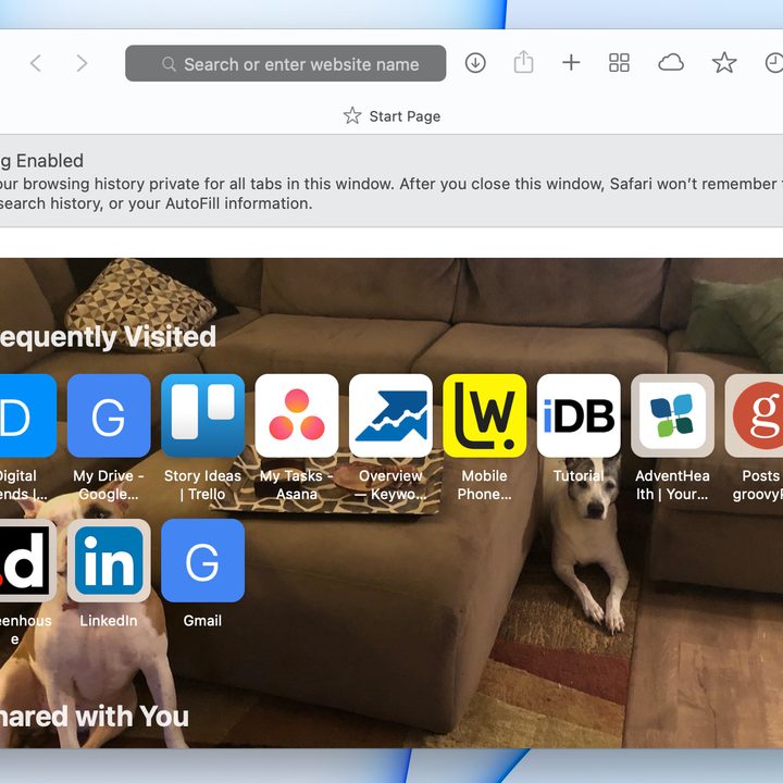 Safari in private browsing mode.