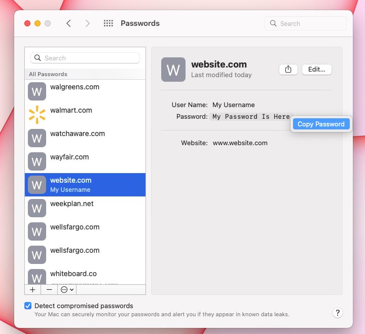 MacOS Password menu with Copy Password highlighted.
