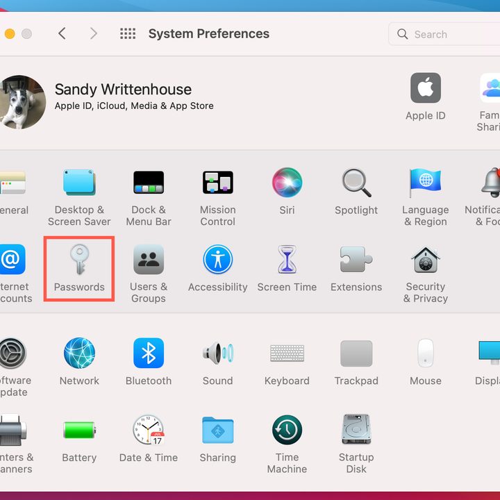 Select Passwords in System Preferences.