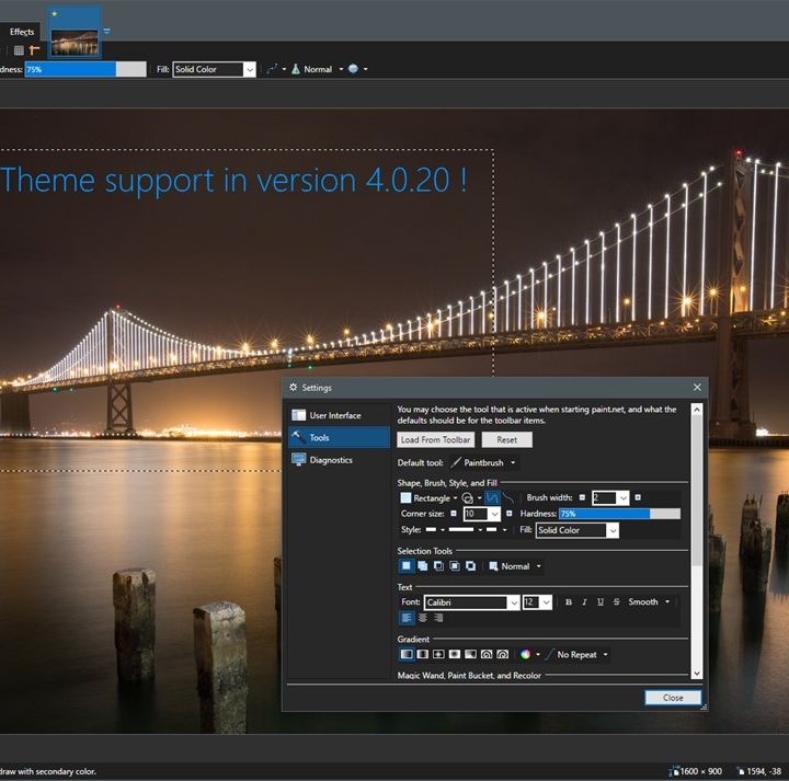 Paint.Net running on Windows 10.