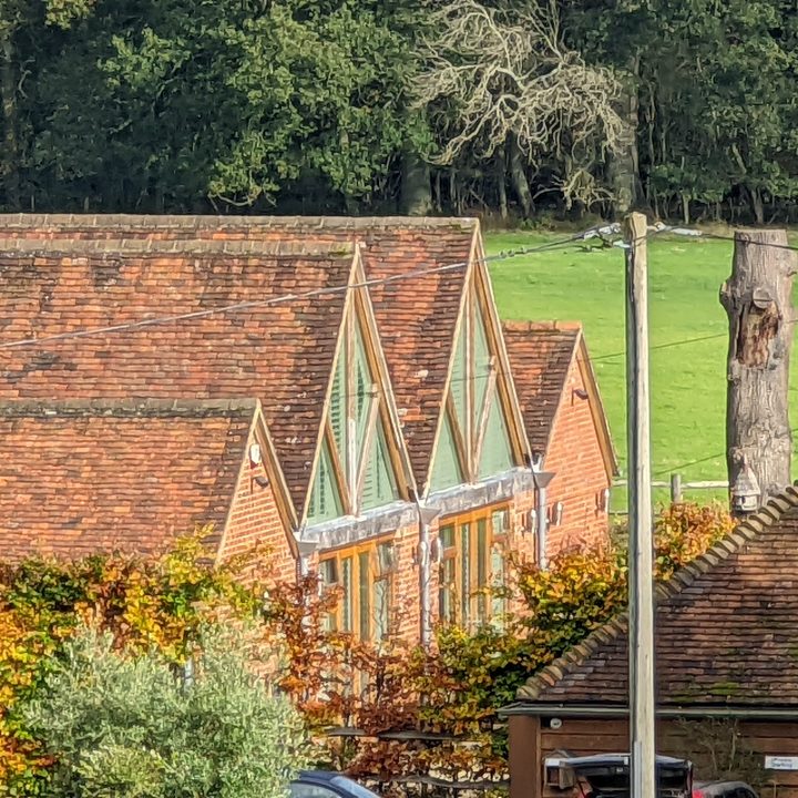 20x zoom photo taken with the Google Pixel 6 Pro.