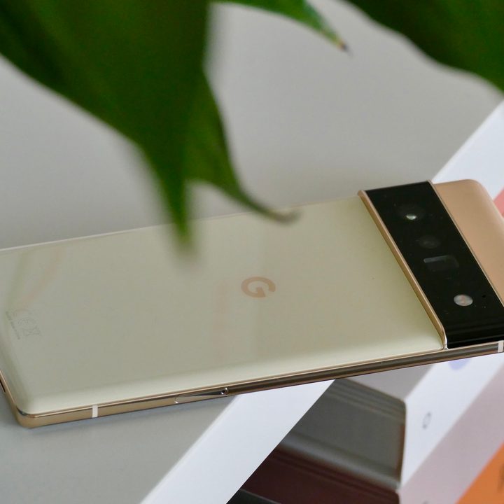 Google Pixel 6 Pro from the back.
