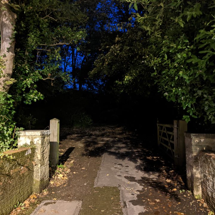 Night Sight photo taken with the Pixel 6 Pro.