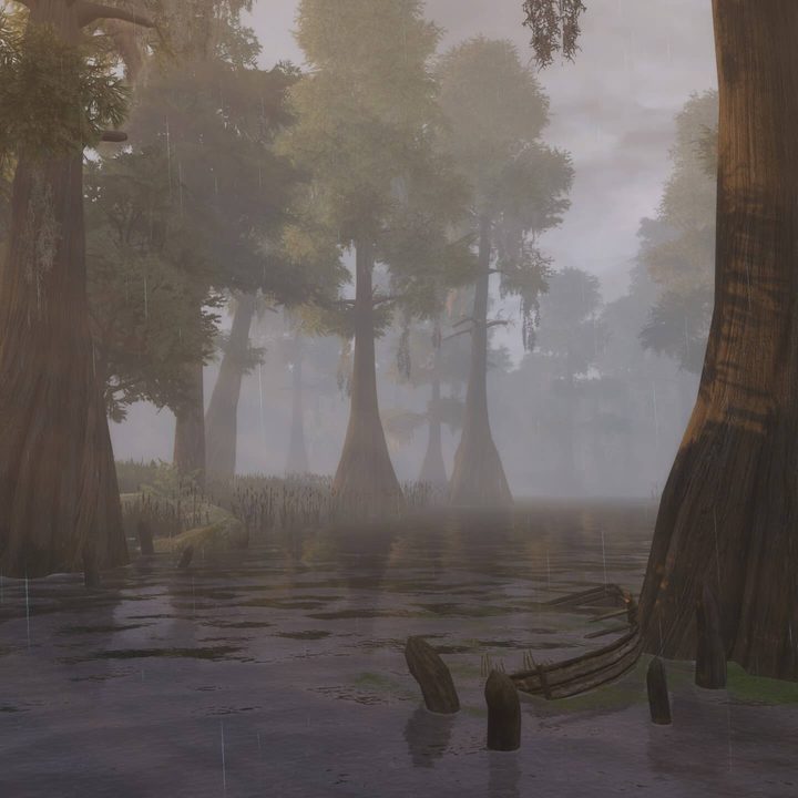 A marshy swamp in skyblivion