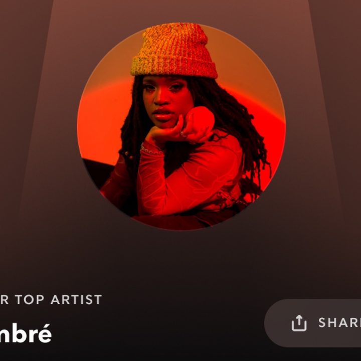 Tidal top artist screen.