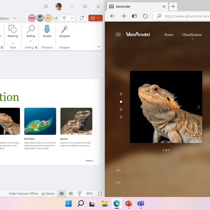 Windows 11 SE Snap photo.
