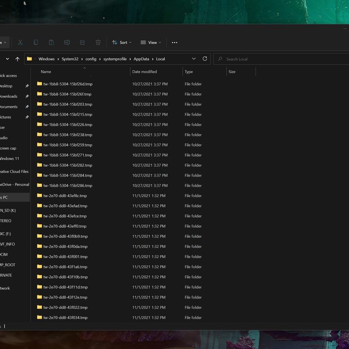 empty folders on Windows 11.