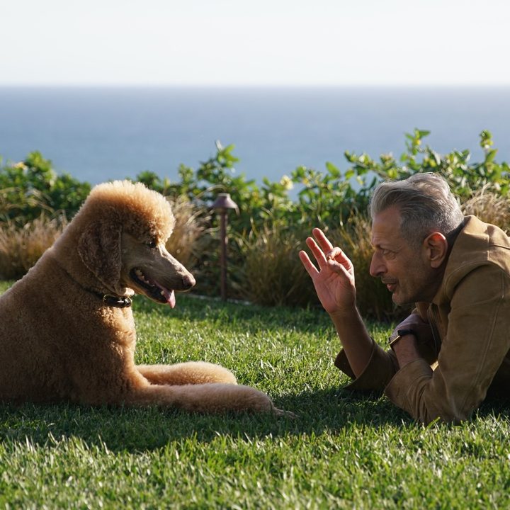 Jeff Goldblum and his dog, Woody, in a scene from season 2 of The World According to Jeff Goldblum.