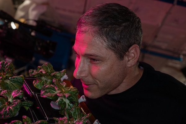 NASA astronaut Michael Hopkins enjoys the aroma of Extra Dwarf Pak Choi growing aboard the space station.