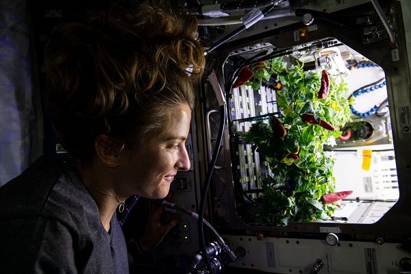 NASA astronaut Kayla Barron floats in front of the second crop of chiles in the Plant Habitat-04 experiment.
