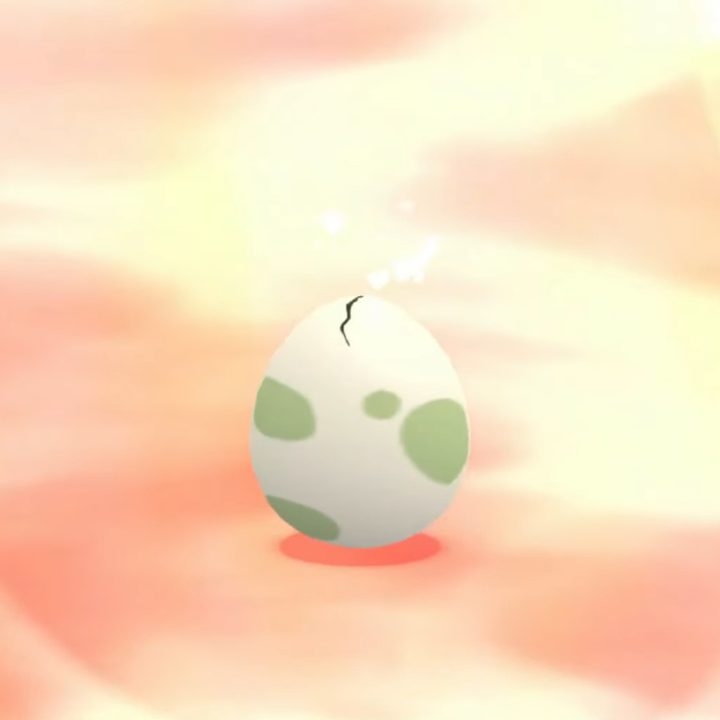 A Pokemon egg about to hatch.