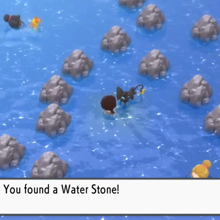 A trainer getting a water stone.