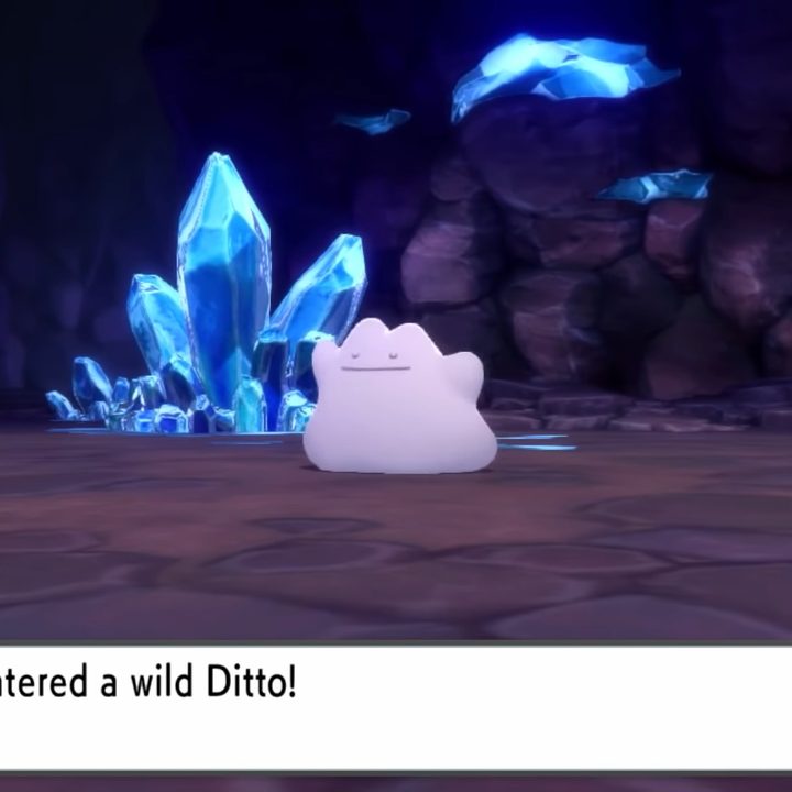 A wild Ditto appearing.