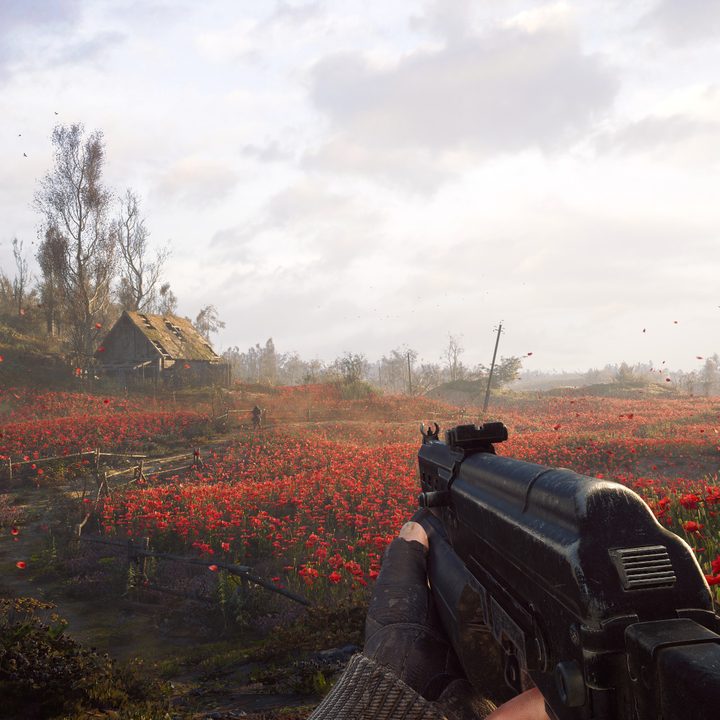 A player looks at a field in first-person in Stalker 2.
