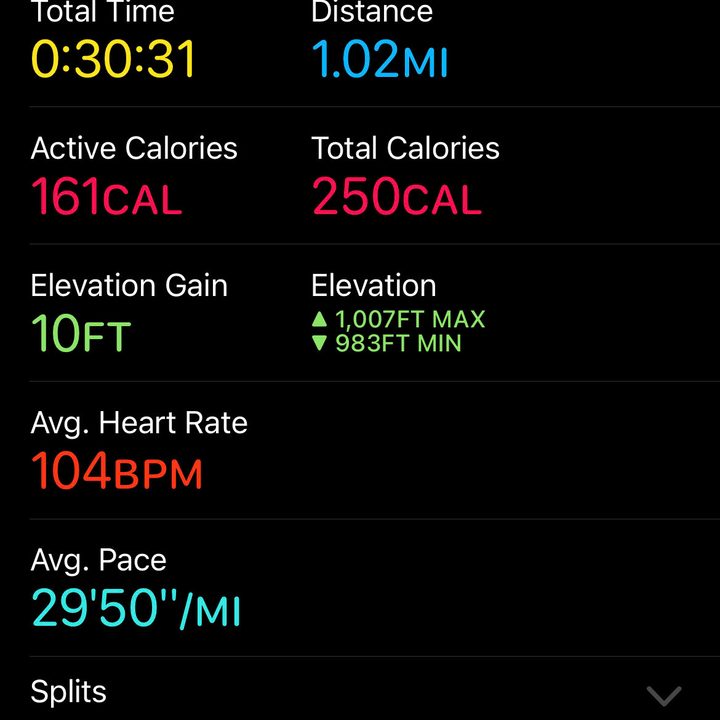 This is a screenshot of the Garmin Connect app.