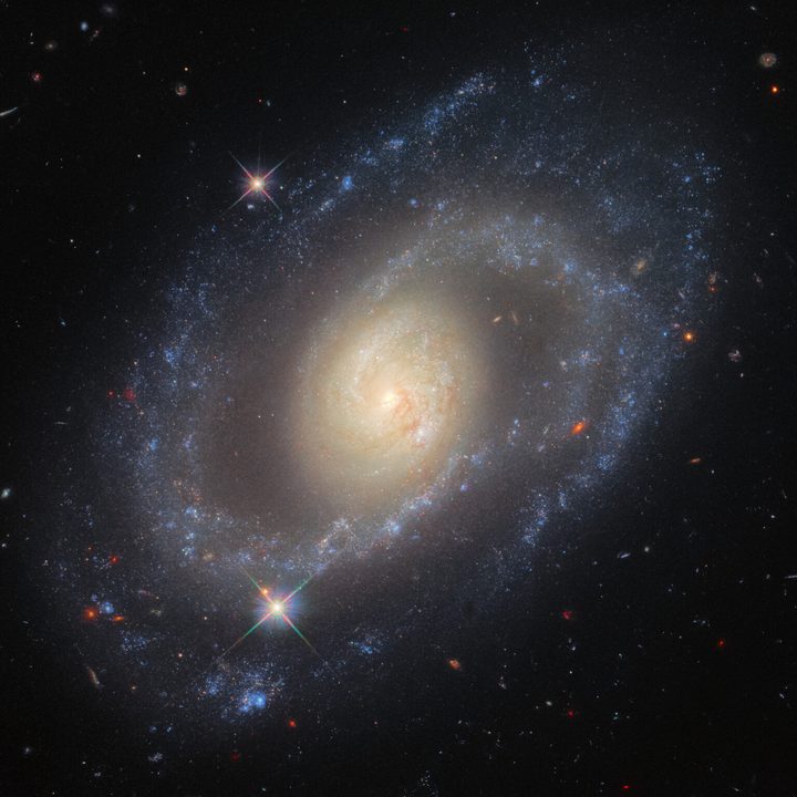 The spiral galaxy Mrk (Markarian) 1337, which is roughly 120 million light-years away from Earth in the constellation Virgo.