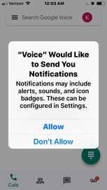 how to set up google voice notifications