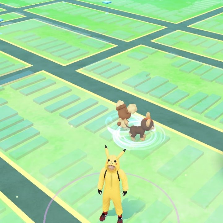 Overworld in Pokémon GO.