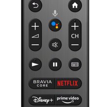 Sony 2022 Premium Remote.