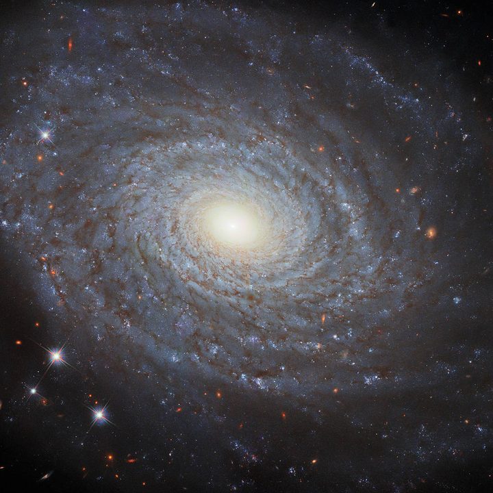 A spiral galaxy.