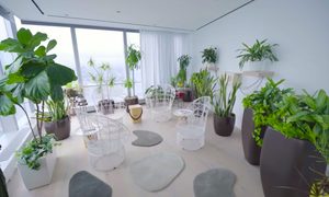 watch spotifys tour of its plush us headquarters spotify manhattan refurb