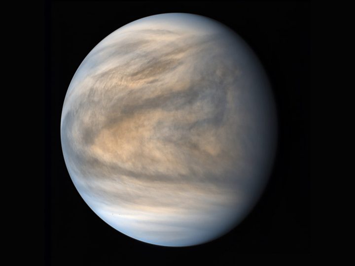 Caption: A false-color image of the sulfurous Venusian cloud cover was produced using two ultraviolet channels from Akatsuki, the Japanese PLANET-C, and Venus Climate Orbiter, which highlights the convective turbulence of the planet's tropical regions, in contrast with the clear, smoother polar regions.