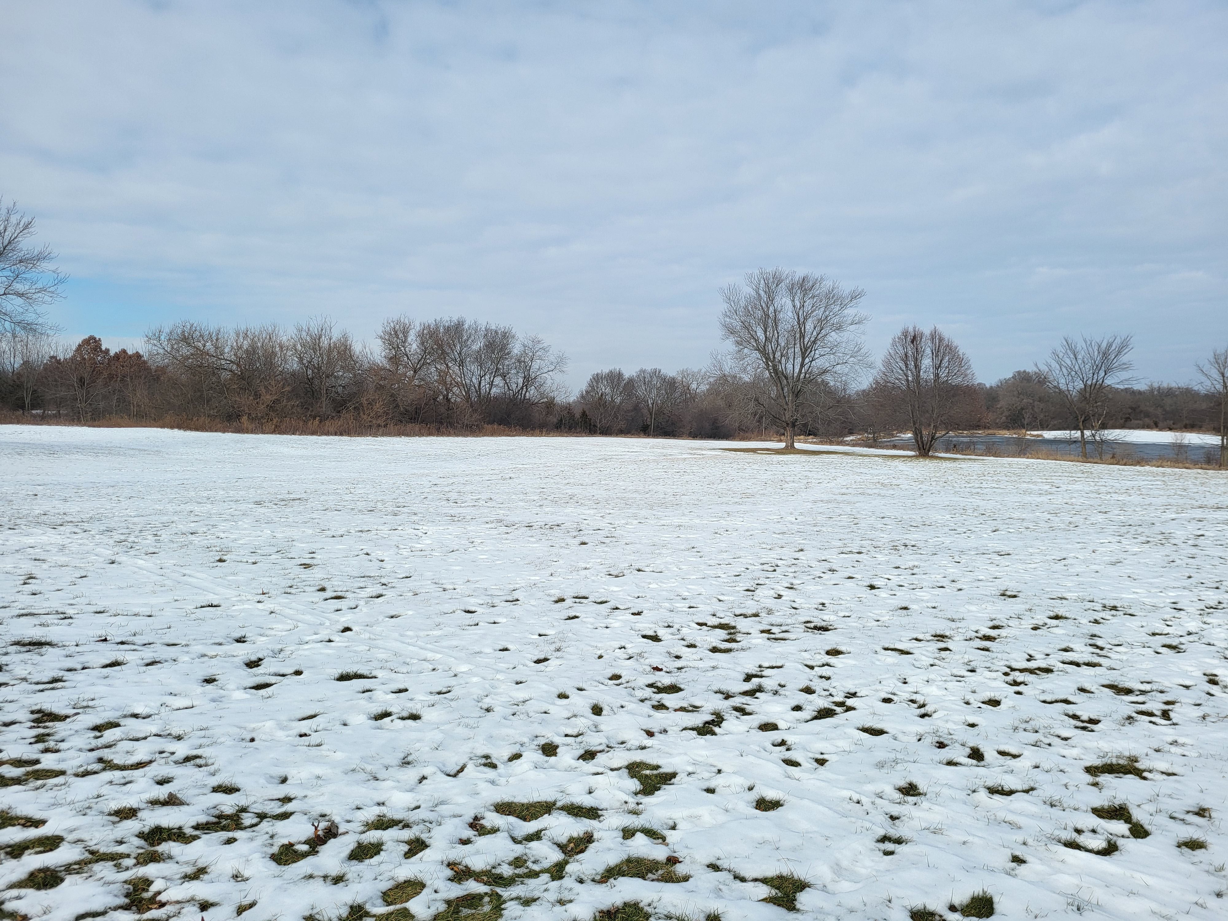 This is a photo sample from the Samsung Galaxy S21 FE 5G main camera.