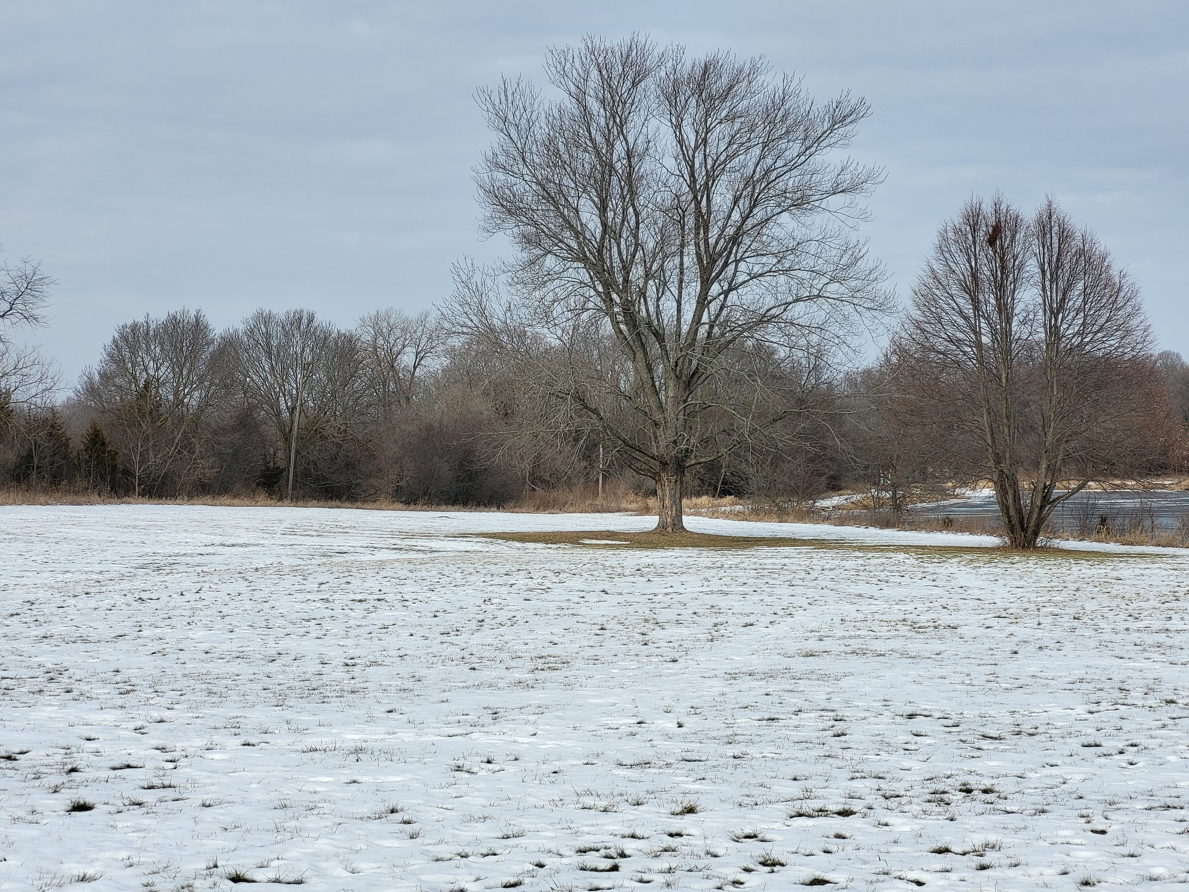 This is a photo sample from the Samsung Galaxy S21 FE 5G 3x camera.