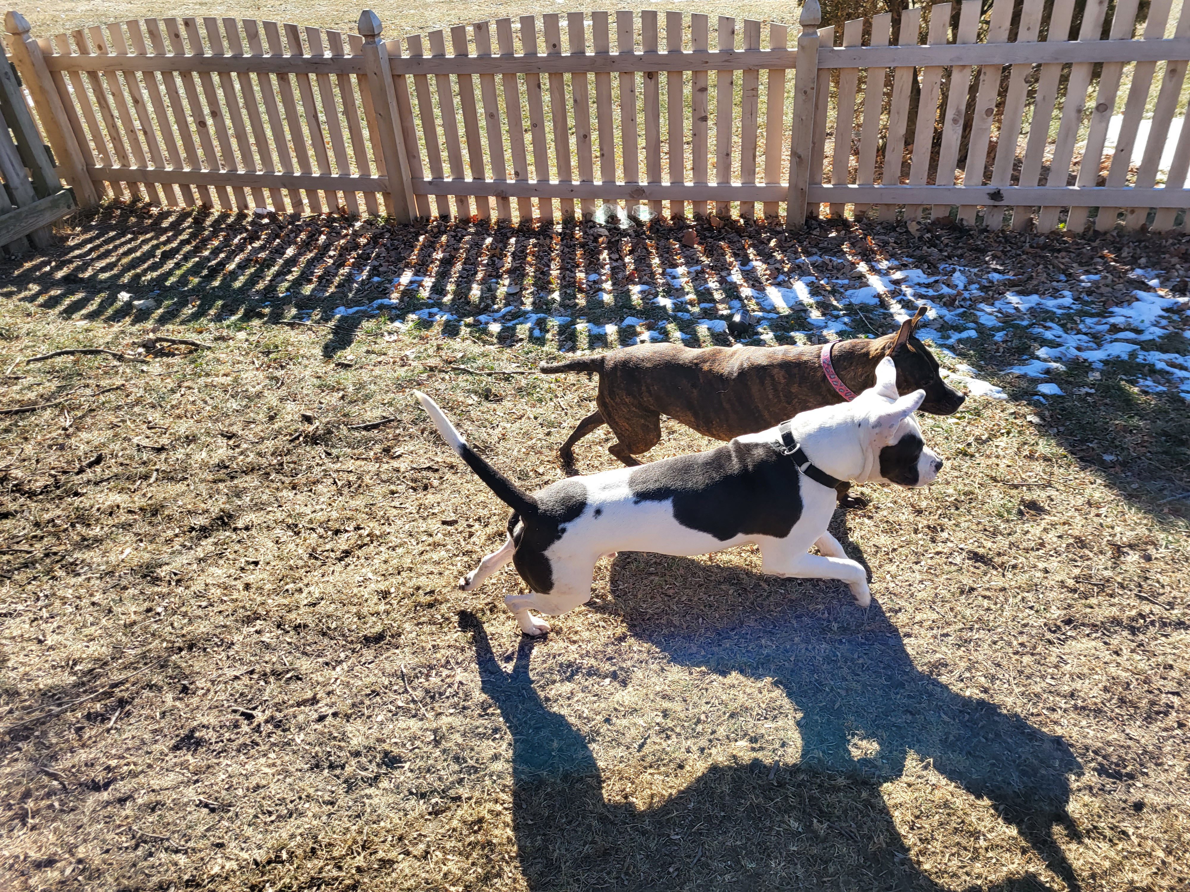 This is a photo sample from the Samsung Galaxy S21 FE 5G main camera.