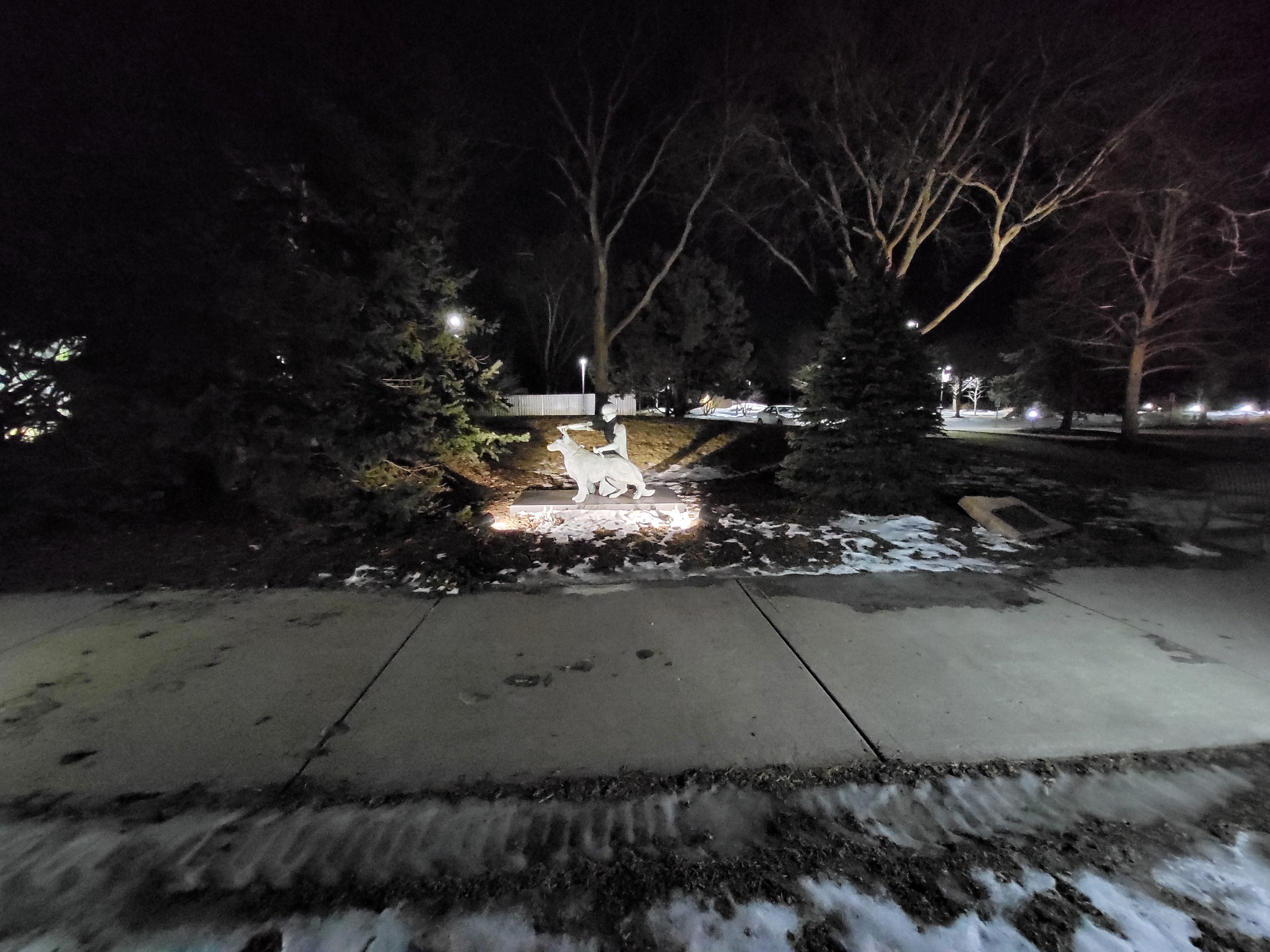 This is a photo sample from the Samsung Galaxy S21 FE 5G main camera.